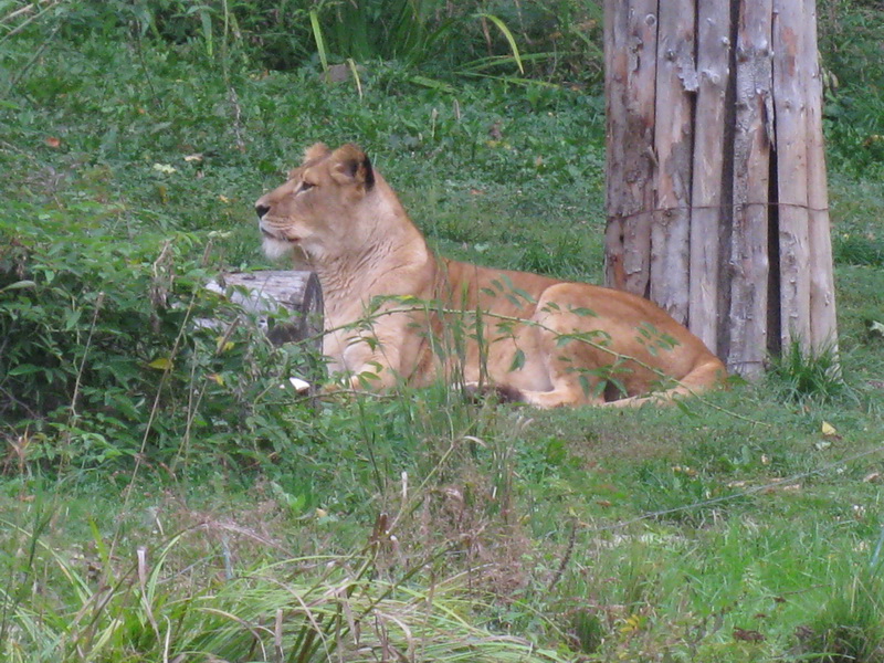 IMG_3323.jpg