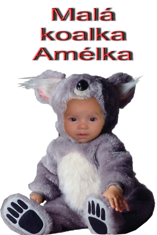 amik.jpg